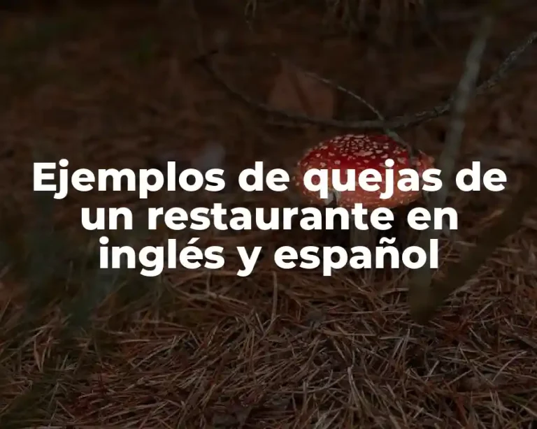 Ejemplos de quejas de un restaurante en inglés y español