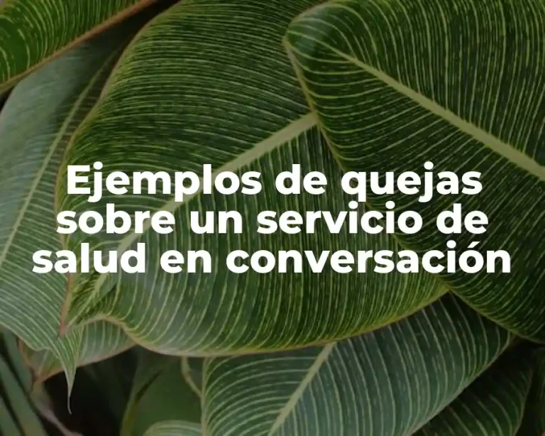 Ejemplos de quejas sobre un servicio de salud en conversación