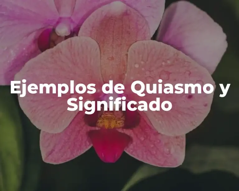 Ejemplos de Quiasmo y Significado