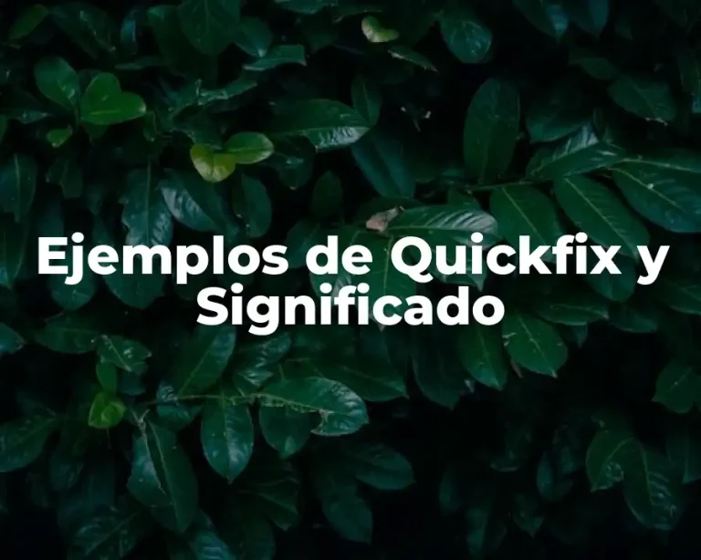 Ejemplos de Quickfix y Significado