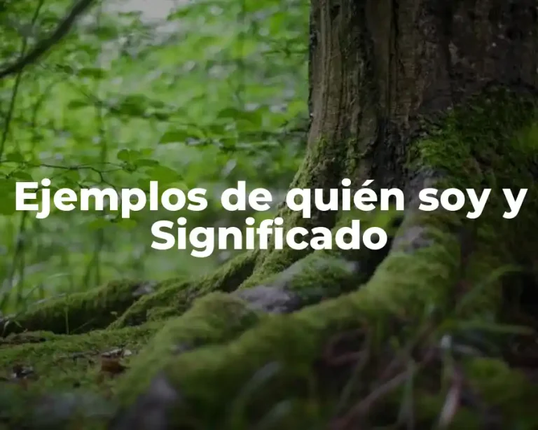 Ejemplos de quién soy y Significado