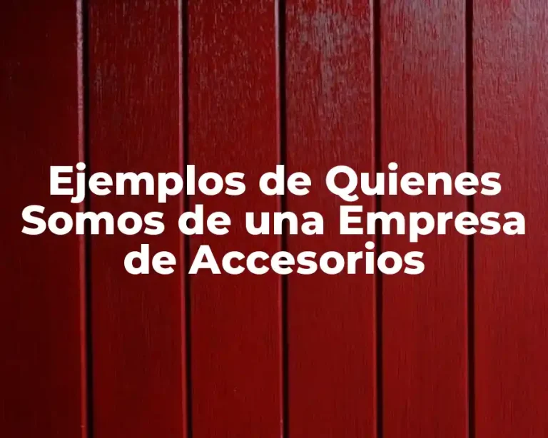 Ejemplos de Quienes Somos de una Empresa de Accesorios