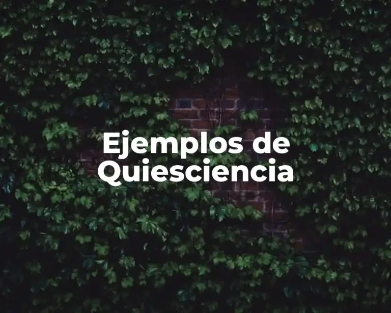 Ejemplos de Quiesciencia