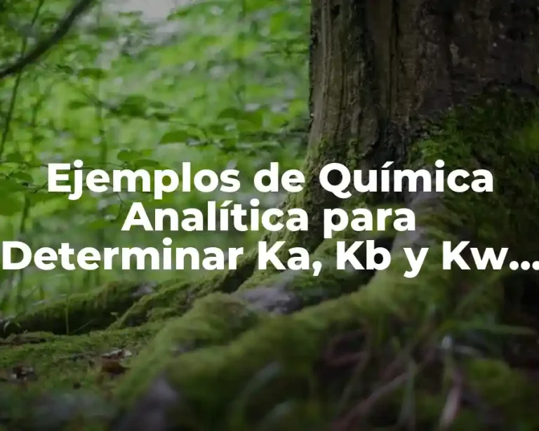 Ejemplos de Química Analítica para Determinar Ka, Kb y Kw y Significado