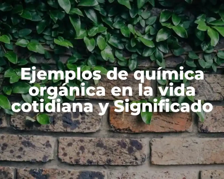 Ejemplos de química orgánica en la vida cotidiana y Significado