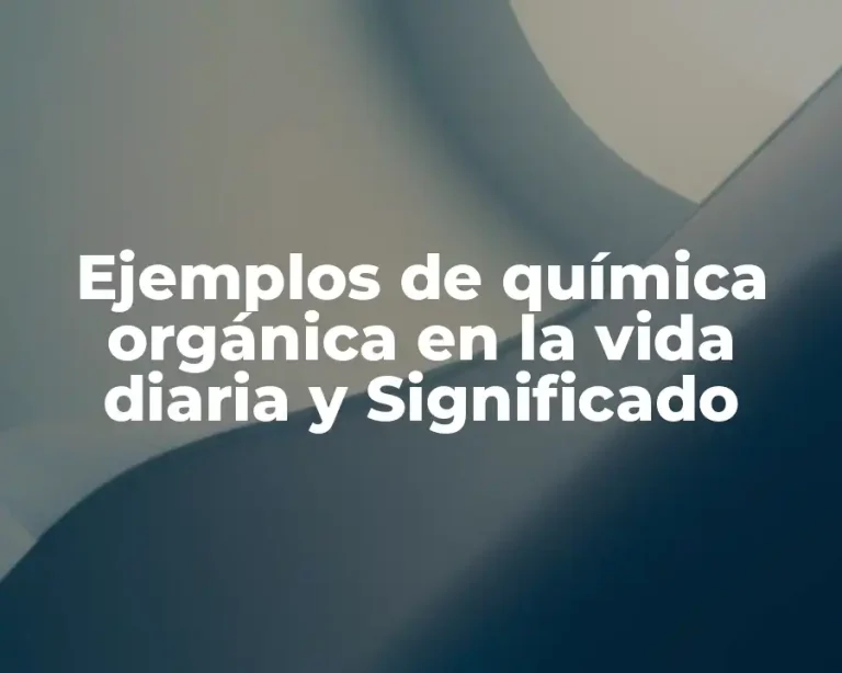 Ejemplos de química orgánica en la vida diaria y Significado