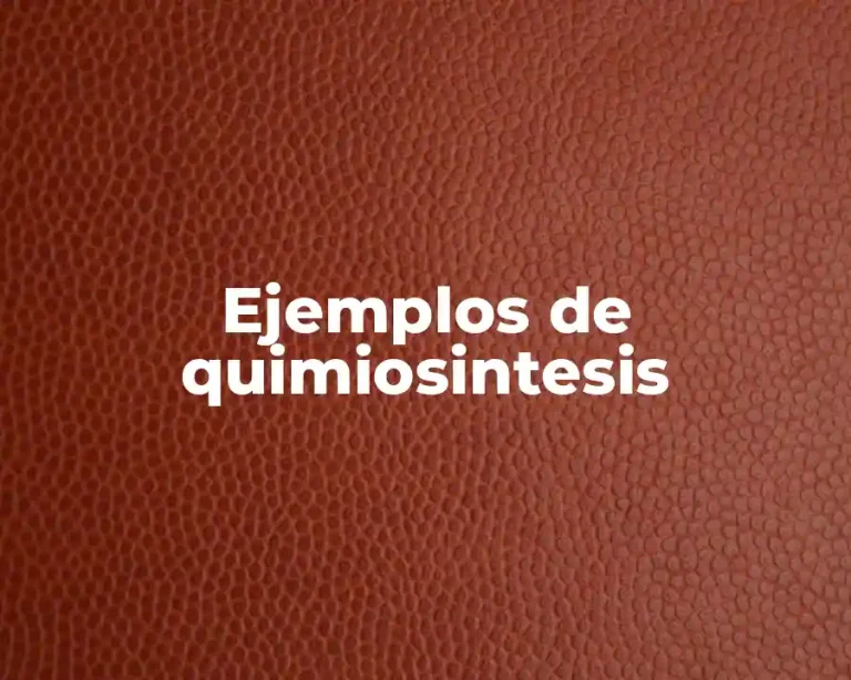 Ejemplos de quimiosintesis