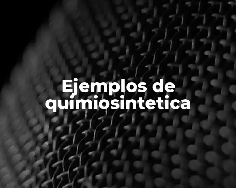 Ejemplos de quimiosintetica