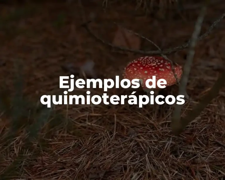 Ejemplos de quimioterápicos
