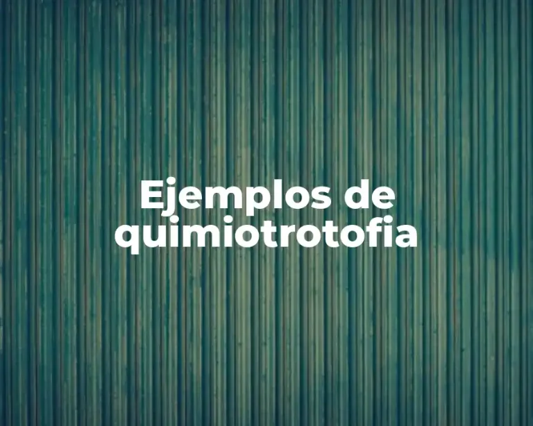 Ejemplos de quimiotrotofia