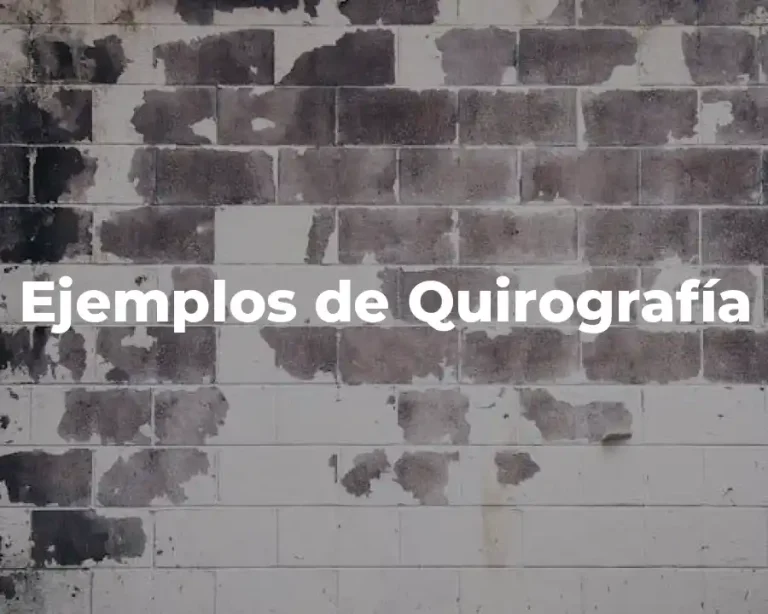 Ejemplos de Quirografía
