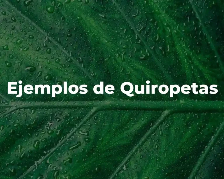 Ejemplos de Quiropetas