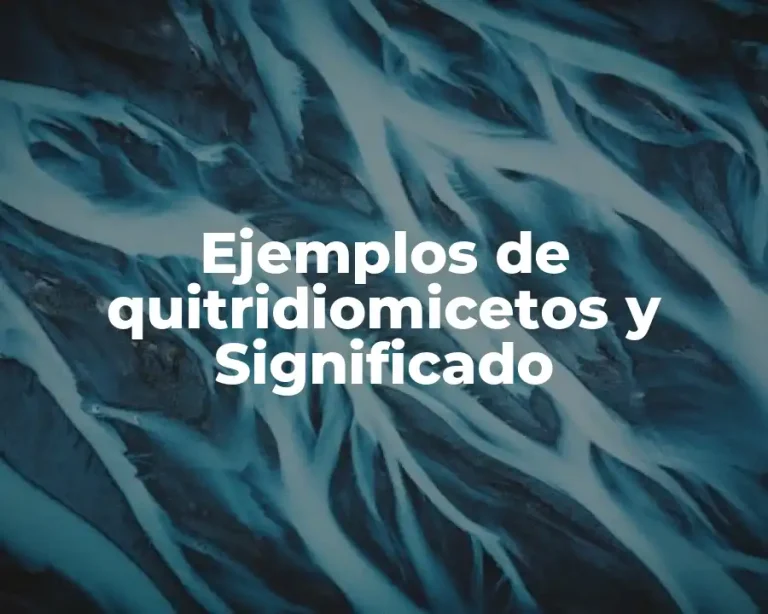 Ejemplos de quitridiomicetos y Significado