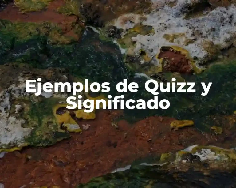 Ejemplos de Quizz y Significado