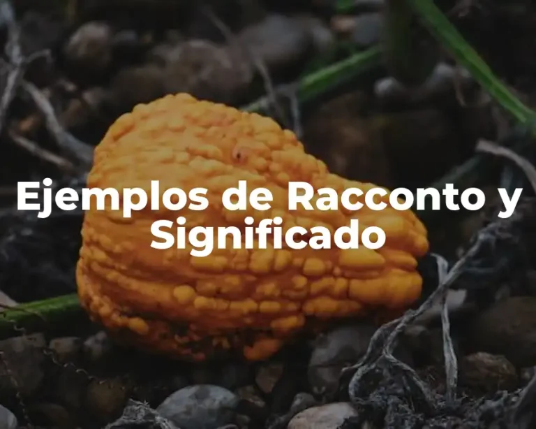 Ejemplos de Racconto y Significado