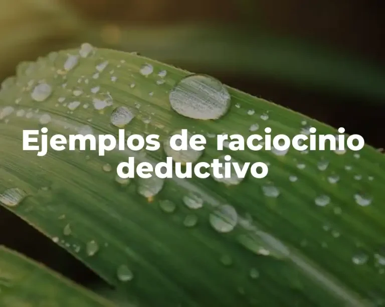 Ejemplos de raciocinio deductivo