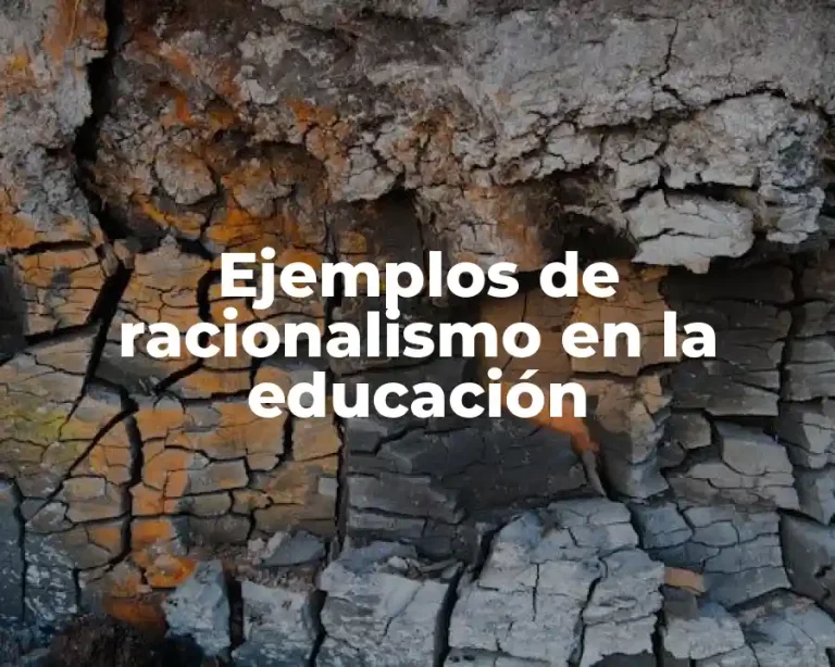 Ejemplos de racionalismo en la educación