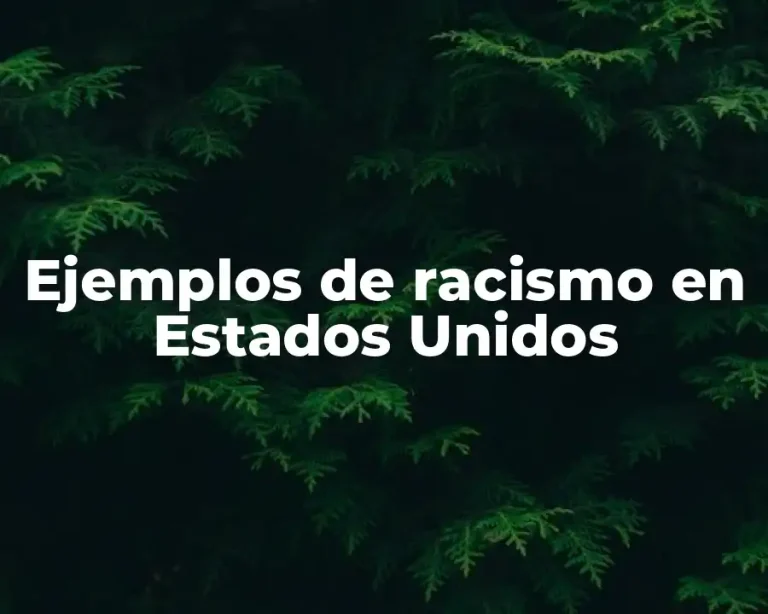 Ejemplos de racismo en Estados Unidos