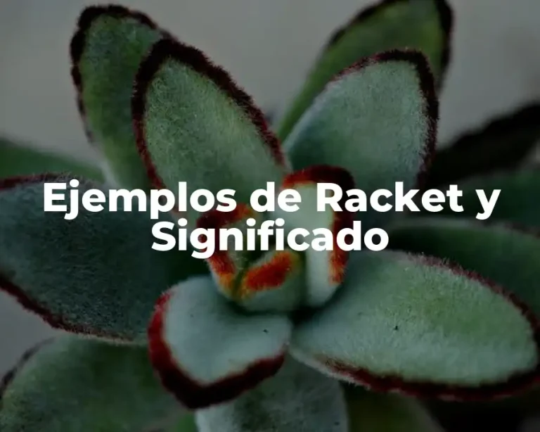 Ejemplos de Racket y Significado