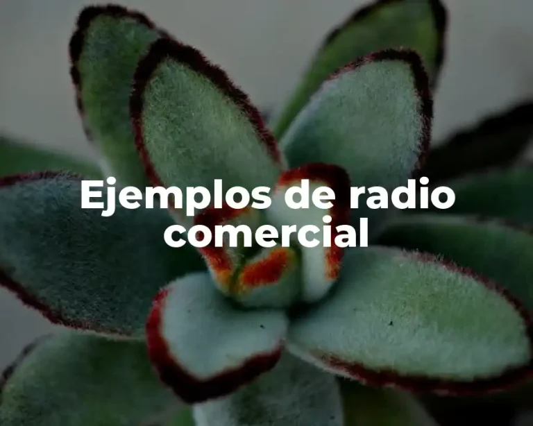 Ejemplos de radio comercial