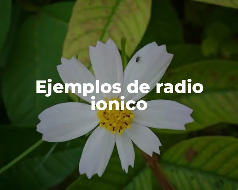 Ejemplos de radio ionico