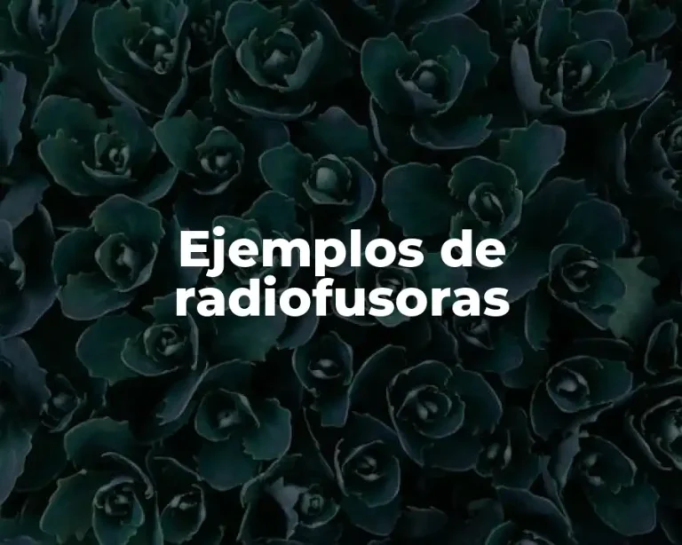 Ejemplos de radiofusoras