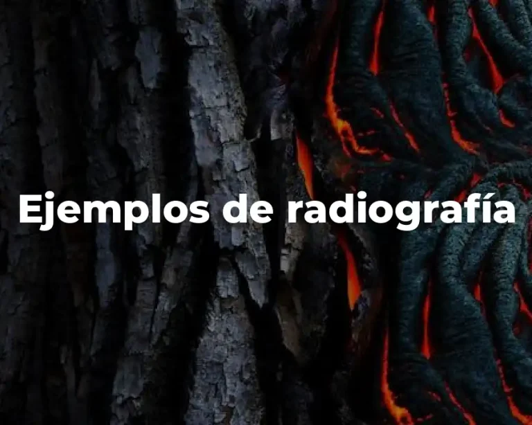 Ejemplos de radiografía