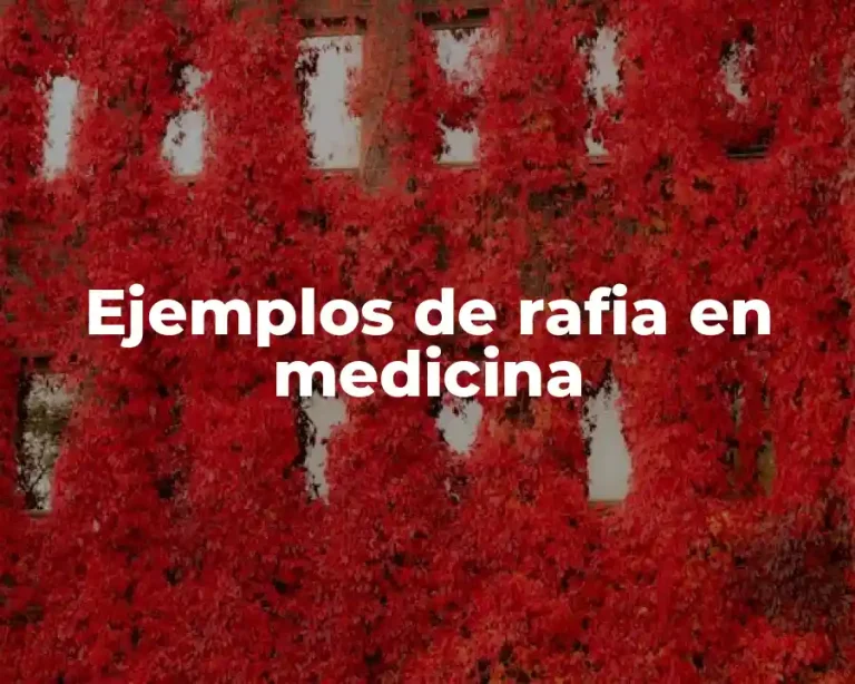 Ejemplos de rafia en medicina