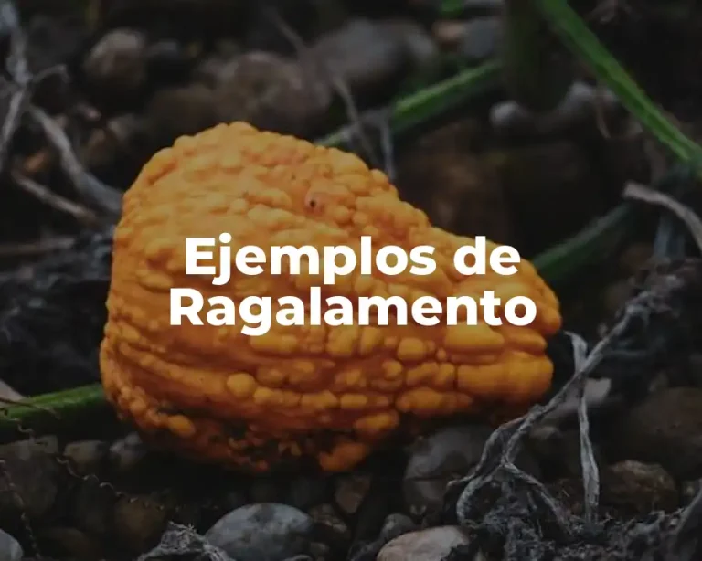 Ejemplos de Ragalamento