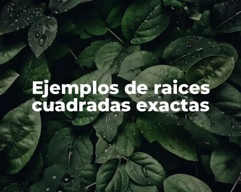 Ejemplos de raices cuadradas exactas