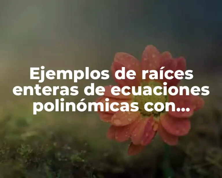 Ejemplos de raíces enteras de ecuaciones polinómicas con coeficientes