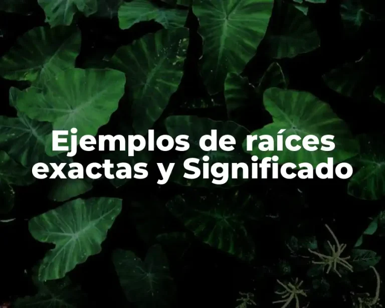 Ejemplos de raíces exactas y Significado