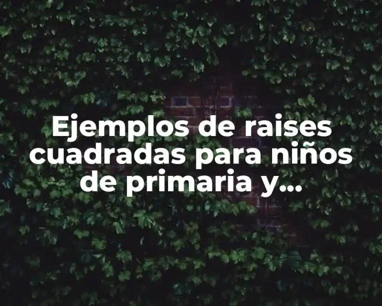Ejemplos de raises cuadradas para niños de primaria y Significado