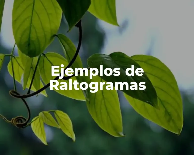 Ejemplos de Raltogramas