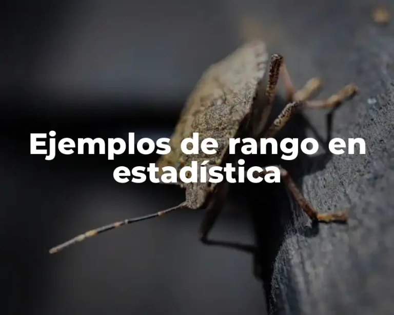 Ejemplos de rango en estadística