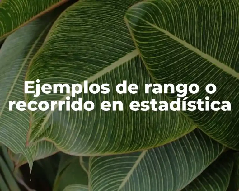 Ejemplos de rango o recorrido en estadística