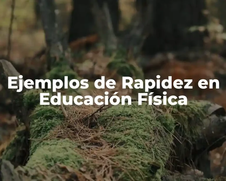 Ejemplos de Rapidez en Educación Física