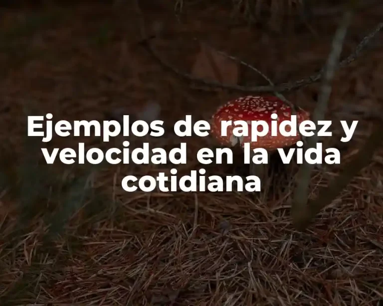Ejemplos de rapidez y velocidad en la vida cotidiana
