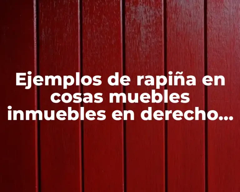 Ejemplos de rapiña en cosas muebles inmuebles en derecho romano y Significado