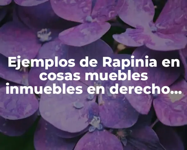 Ejemplos de Rapinia en cosas muebles inmuebles en derecho romano