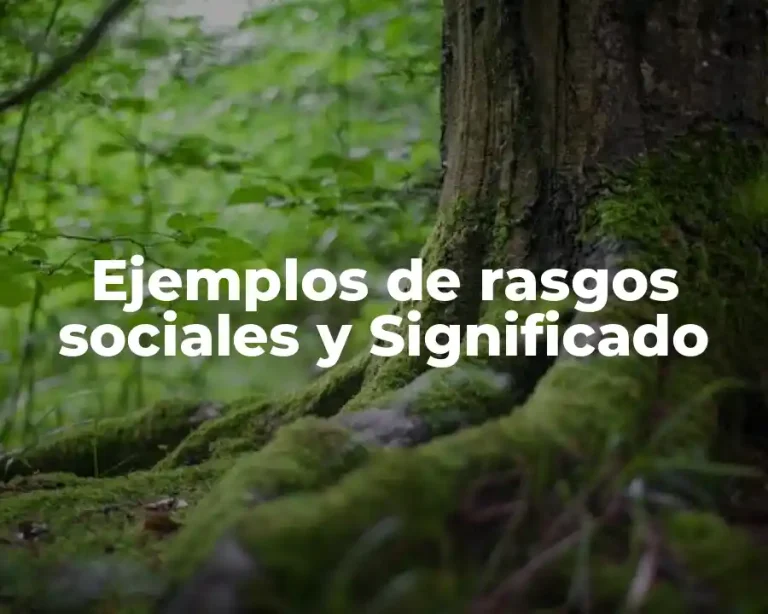 Ejemplos de rasgos sociales y Significado