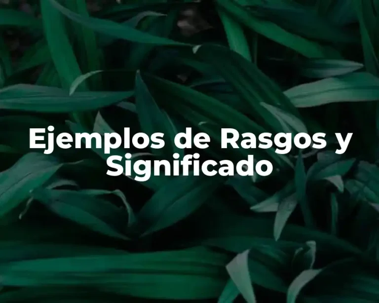 Ejemplos de Rasgos y Significado