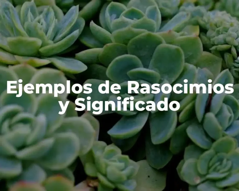 Ejemplos de Rasocimios y Significado