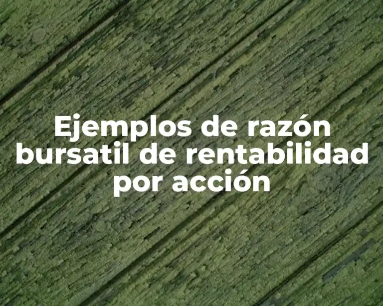 Ejemplos de razón bursatil de rentabilidad por acción