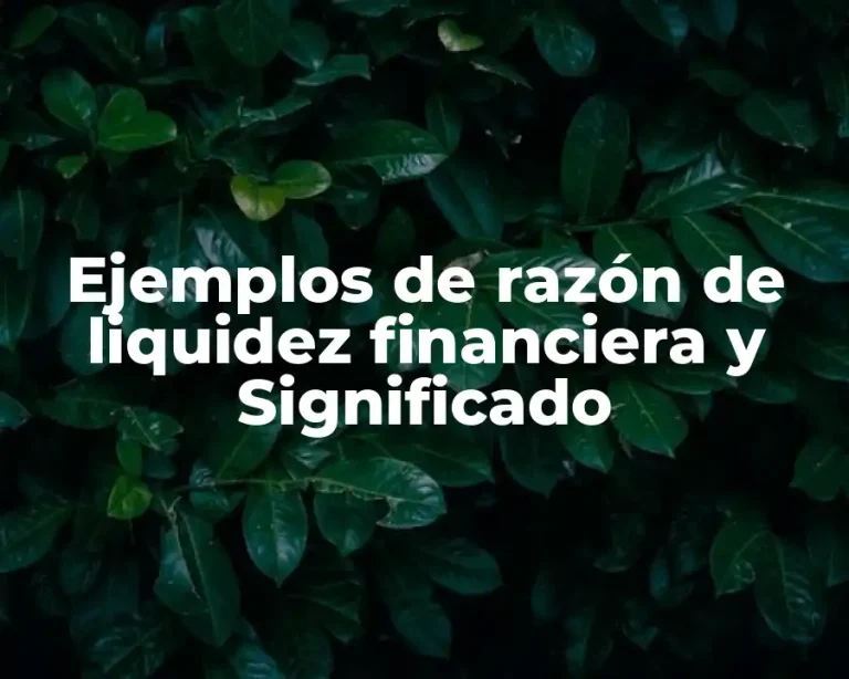 Ejemplos de razón de liquidez financiera y Significado