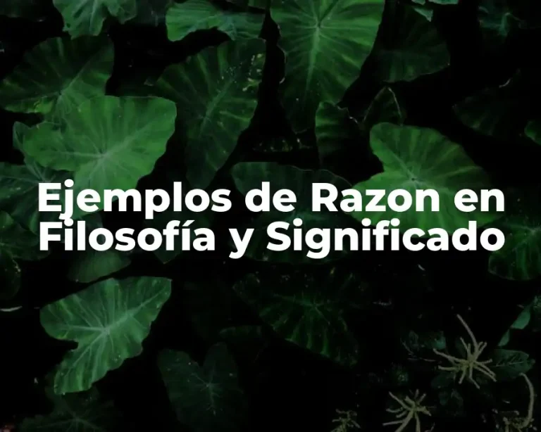 Ejemplos de Razon en Filosofía y Significado