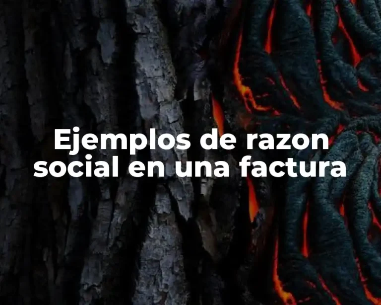 Ejemplos de razon social en una factura