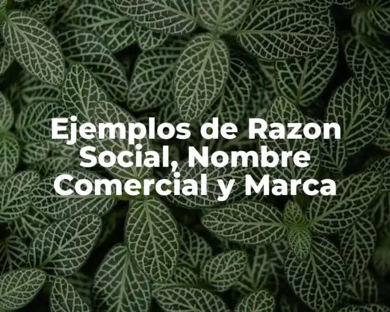 Ejemplos de Razon Social, Nombre Comercial y Marca