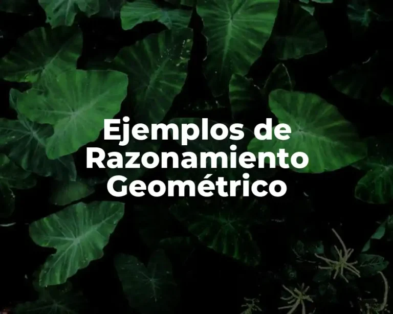 Ejemplos de Razonamiento Geométrico