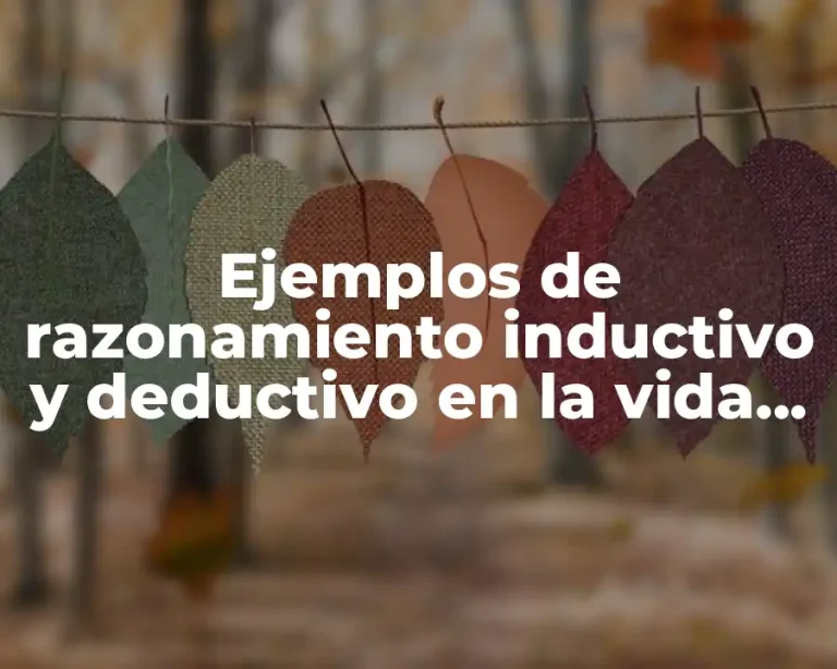Ejemplos de razonamiento inductivo y deductivo en la vida cotidiana